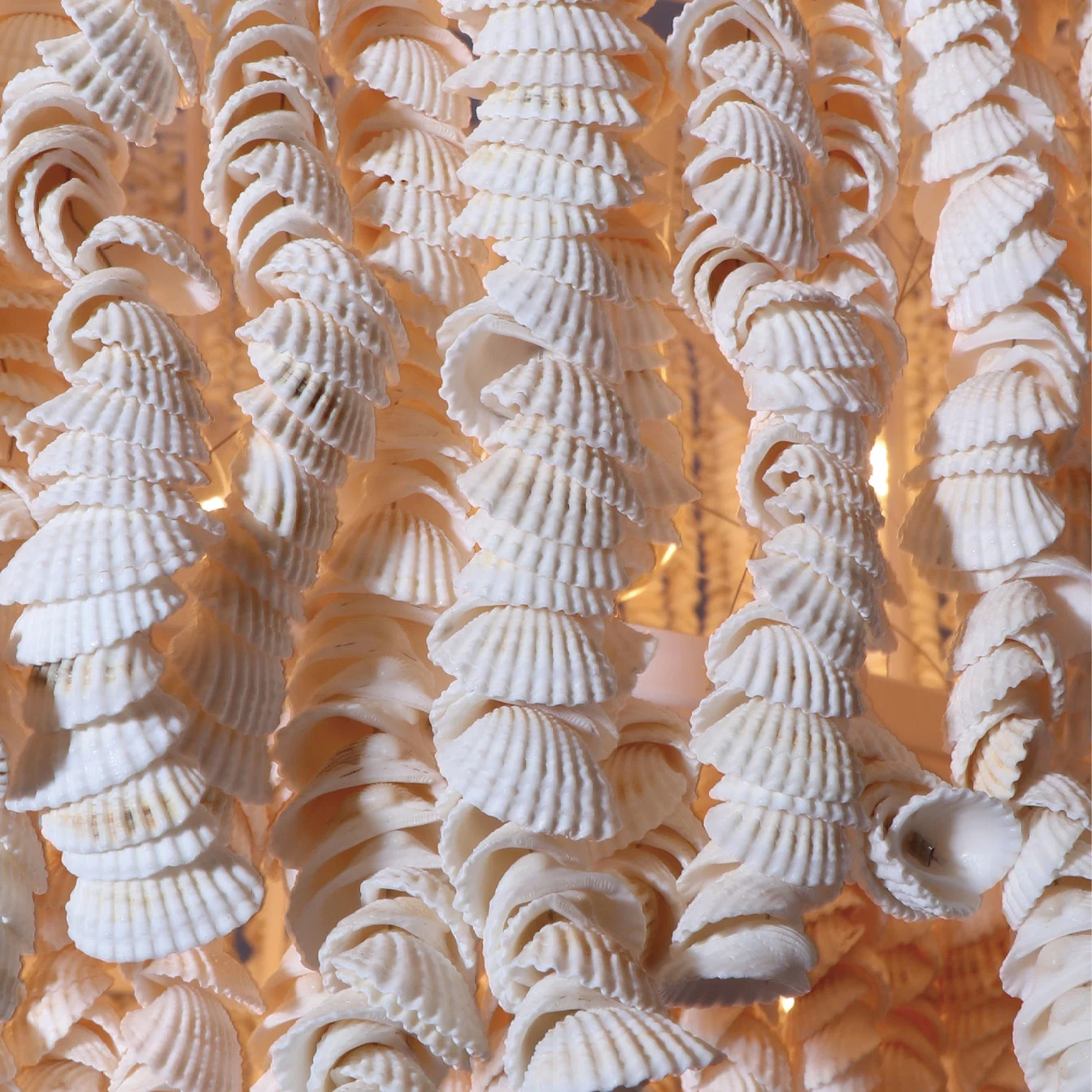 Giant Shell Custom Chandelier for Luxury Hotel & Villa Projects | Mauritius Bespoke Shell Statement Lighting project view