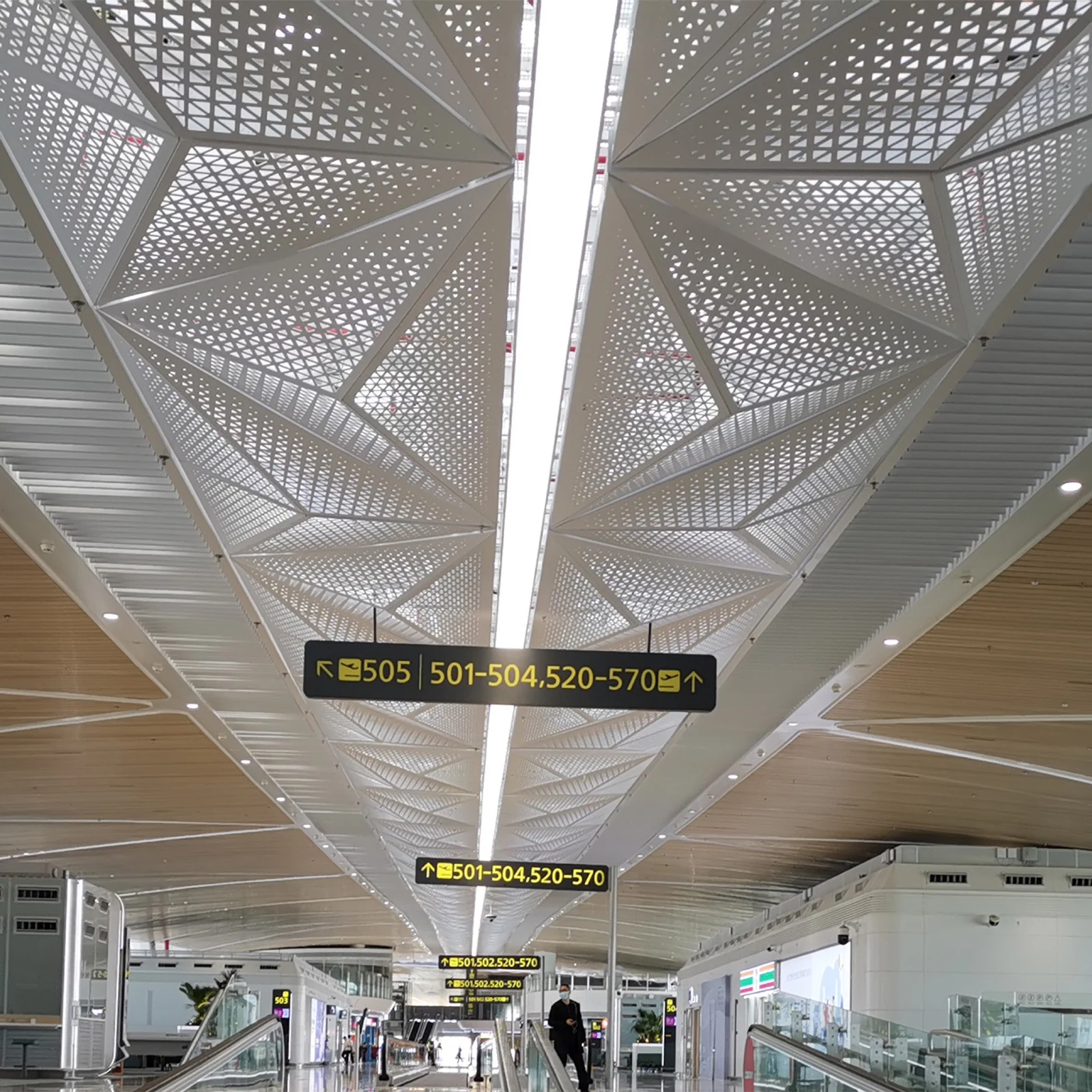 Comprehensive Lighting Solutions for Shenzhen Airport Satellite Concourse project view